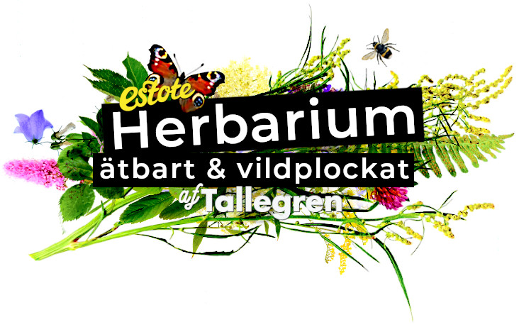 herbarium-estote-tallegren